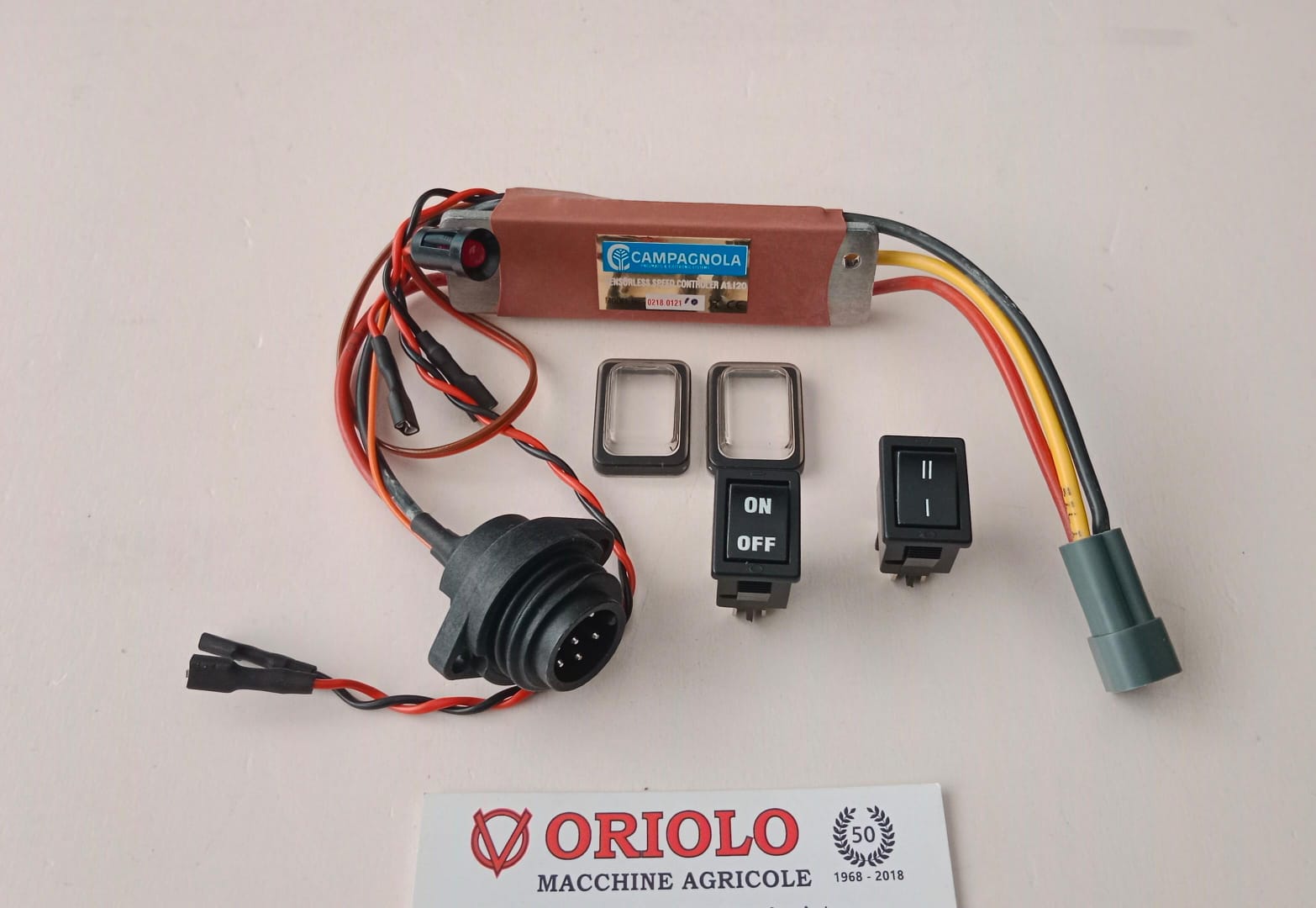 SCHEDA ELETTRONICA ALICE 2013  CON ISTRUZIONI